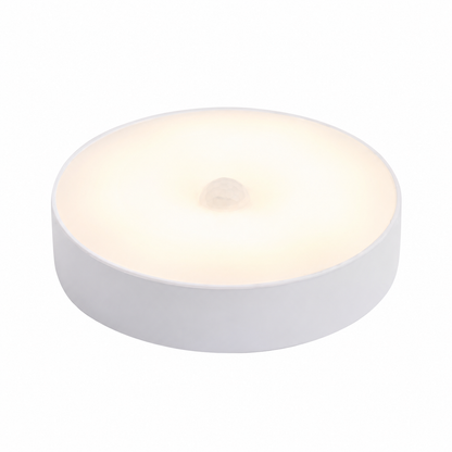Rechargeable Motion Sensor Night Light